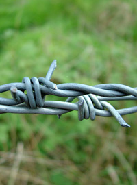 Bedfordshire barbed wire fence costs