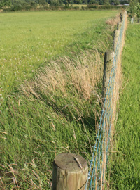  wire fencing costs